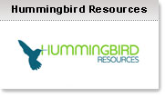hummingbird-logo